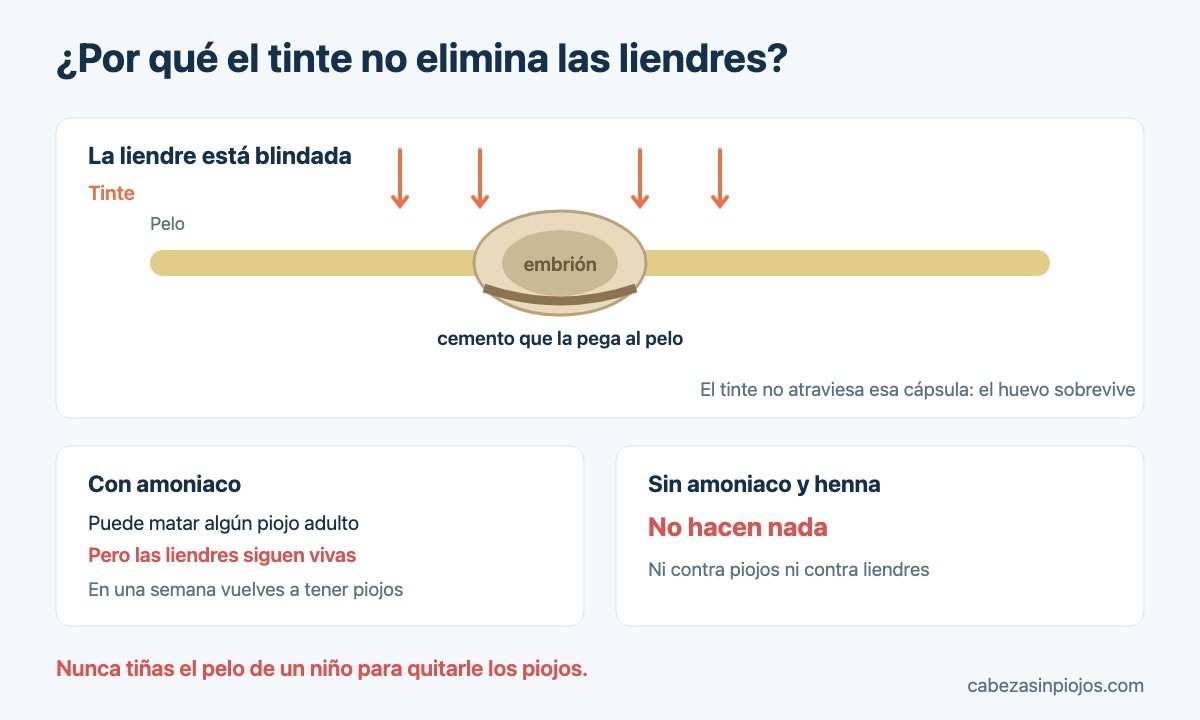 Por qué el tinte del pelo no elimina las liendres